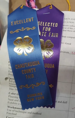 Several 4-H projects selected for state fair